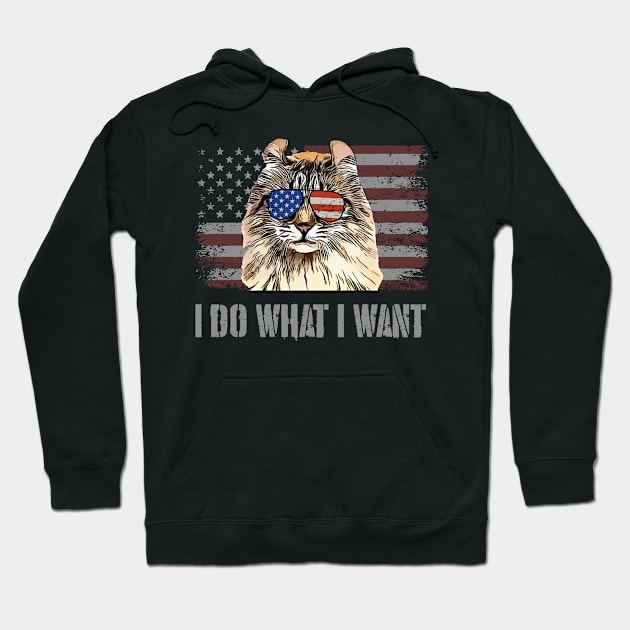 American Curl Cat I Do What I Want Retro USA Funny Cat Hoodie by TheBeardComic